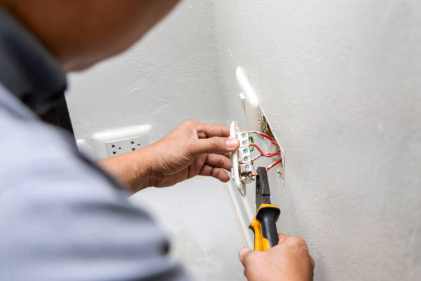Best Generator Installation Services  in Cedar Grove, WI